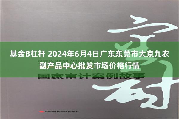 基金B杠杆 2024年6月4日广东东莞市大京九农副产品中心批发市场价格行情