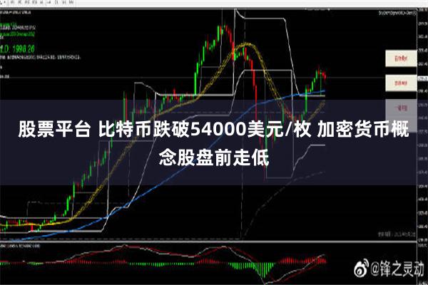 股票平台 比特币跌破54000美元/枚 加密货币概念股盘前走低