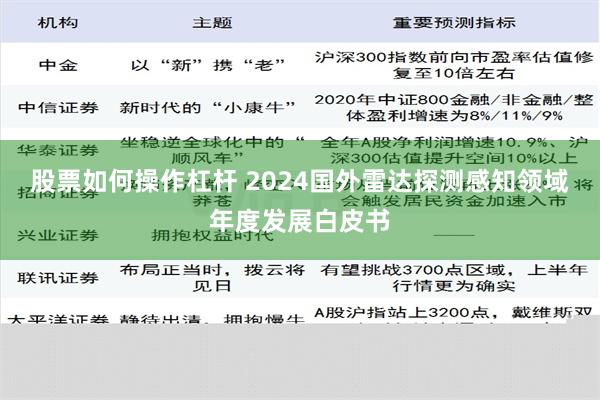 股票如何操作杠杆 2024国外雷达探测感知领域年度发展白皮书