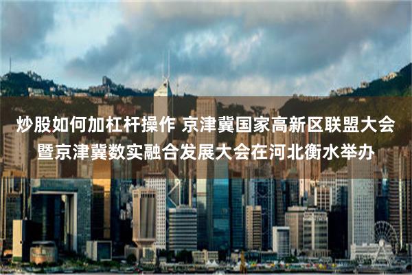 炒股如何加杠杆操作 京津冀国家高新区联盟大会暨京津冀数实融合发展大会在河北衡水举办