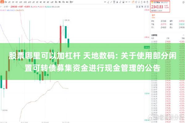 股票哪里可以加杠杆 天地数码: 关于使用部分闲置可转债募集资金进行现金管理的公告