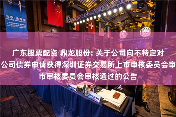 广东股票配资 鼎龙股份: 关于公司向不特定对象发行可转换公司债券申请获得深圳证券交易所上市审核委员会审核通过的公告